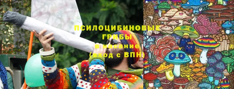 Галлюциногенные грибы Cubensis  купить закладку  Дагестанские Огни 